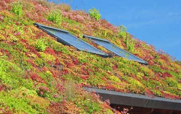 Coombe Dingle living roof systems