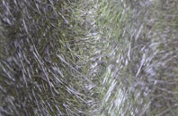 Coombe Dingle fibreglass roof work